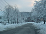 ZSM Picture of the week