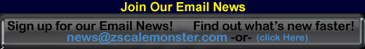ZSM News