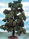 Big Oak Tree